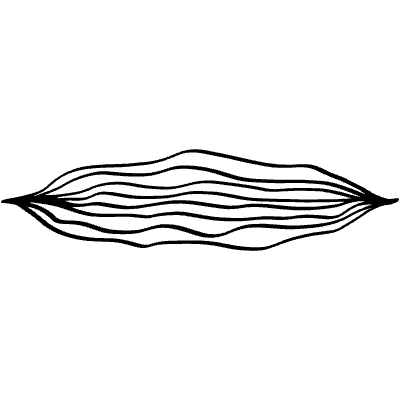 Highlight Line Underline Doodle 24 Element from Beveled Scribbles Set