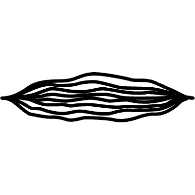 Highlight Underline Line 24 Element from Variable Scribbles Set