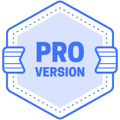 Pro Version Hexagon Flag Element from Vector Badges Set