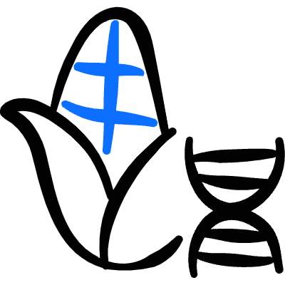 Gmo Food Corn Dna Icon from Freehand Duotone Set