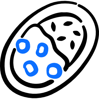 Asian Food Curry Rice Icon from Freehand Duotone Set