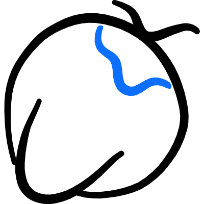 Fruit Coconut Icon from Freehand Duotone Set