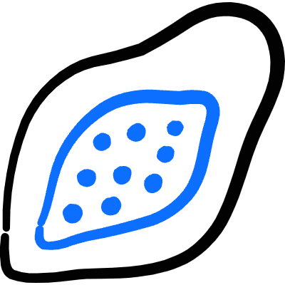 Fruit Papaya Slice Icon from Freehand Duotone Set