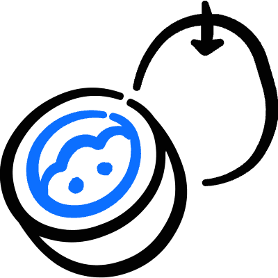 Fruit Passionfruit Icon from Freehand Duotone Set