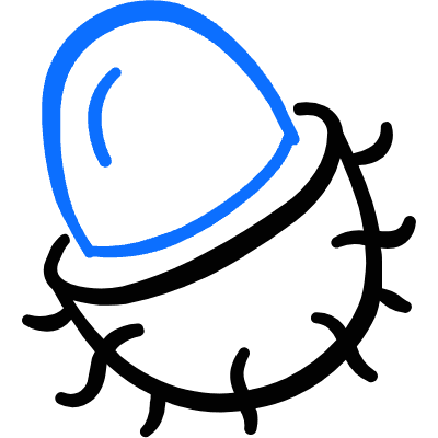 Fruit Rambutan Icon from Freehand Duotone Set