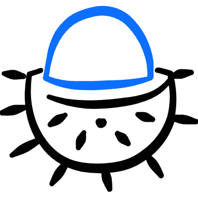 Fruit Rambutan Slice Icon from Freehand Duotone Set