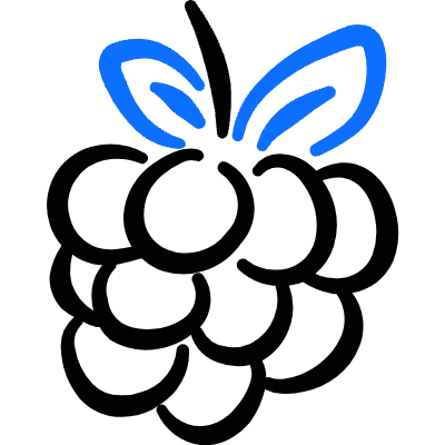 Fruit Raspberry Icon from Freehand Duotone Set