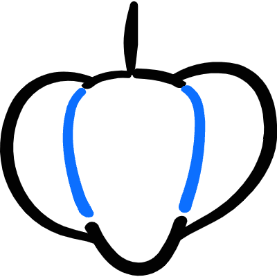 Vegetable Acorn Squash Icon from Freehand Duotone Set