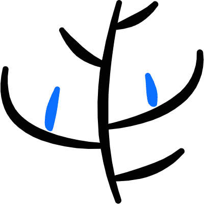 Vegetable Dill Icon from Freehand Duotone Set