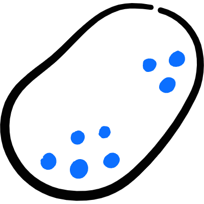 Vegetable Potato 2 Icon from Freehand Duotone Set