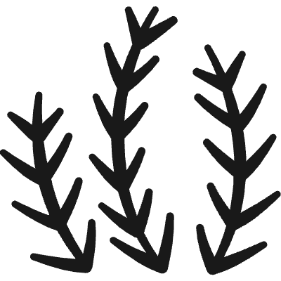 Vegetable Rosemary Icon from Freehand Duotone Set