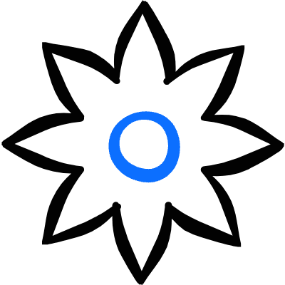 Vegetable Star Anise Icon from Freehand Duotone Set