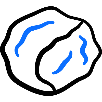 Vegetables Cabbage 2 Icon from Freehand Duotone Set