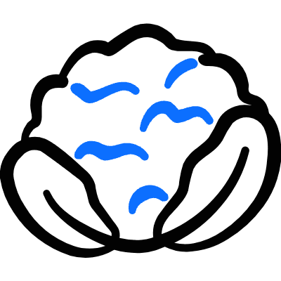 Vegetables Cauliflower Icon from Freehand Duotone Set