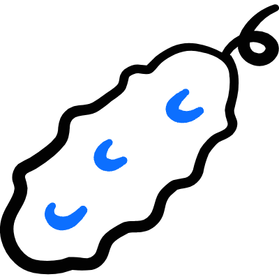 Vegetables Cucumber 1 Icon from Freehand Duotone Set