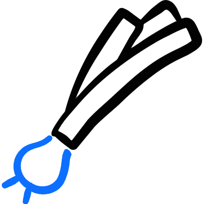 Vegetables Spring Onion Icon from Freehand Duotone Set