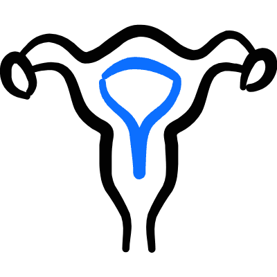 Fertility Women Vagina Icon from Freehand Duotone Set
