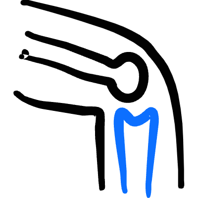 Medical Specialty Knee 1 Icon from Freehand Duotone Set
