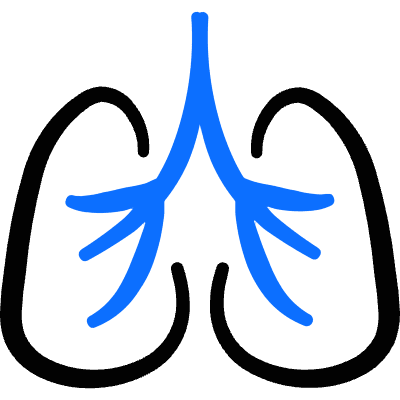 Medical Specialty Lungs Icon from Freehand Duotone Set
