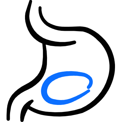 Medical Specialty Stomach Liquid Icon from Freehand Duotone Set