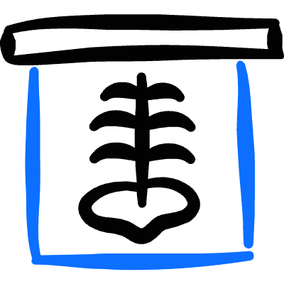 Radiology Scan Icon from Freehand Duotone Set