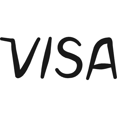 Payment Visa Icon from Freehand Duotone Set