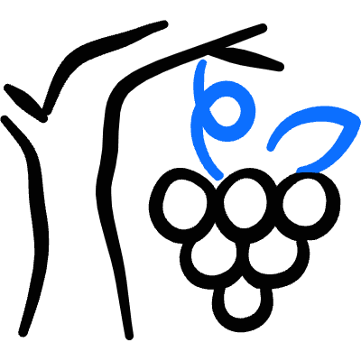 Farming Crop Grape Icon from Freehand Duotone Set