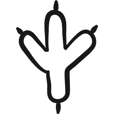 Animal Print Chicken Icon from Freehand Duotone Set