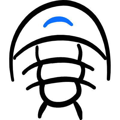 Pre Historic Animal Horseshoe Crab Icon from Freehand Duotone Set