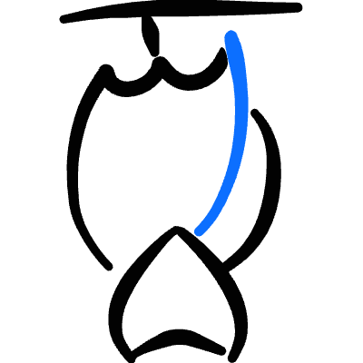 Various Mammals Bat Hanging Icon from Freehand Duotone Set