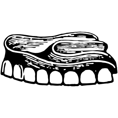 Denture 3 Element from Vintage Illustrations Set