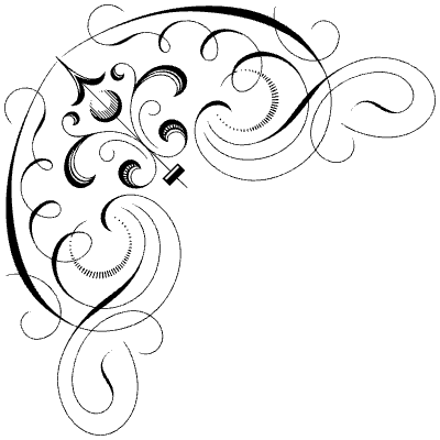 Flourishes Corner 50 Left Element from Corners Ornaments Set