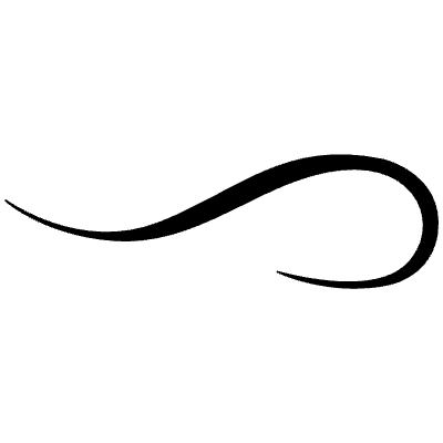 Flourishes Ornaments 208 Element from Flourishes Ornaments Set