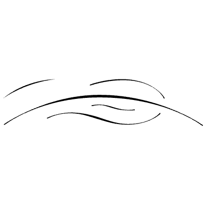 Flourishes Ornaments 31 Element from Flourishes Ornaments Set