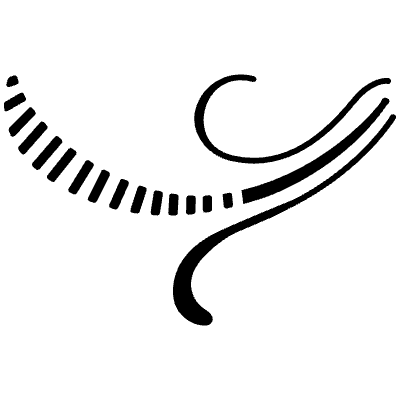 Flourishes Ornaments 356 Element from Flourishes Ornaments Set