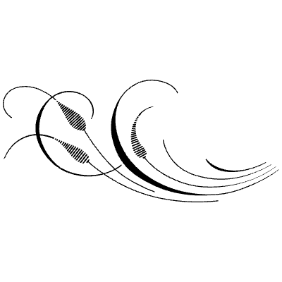 Flourishes Ornaments 475 Element from Flourishes Ornaments Set