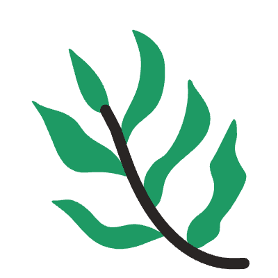 Leaf 6 Element from Doodles (Flat) Set