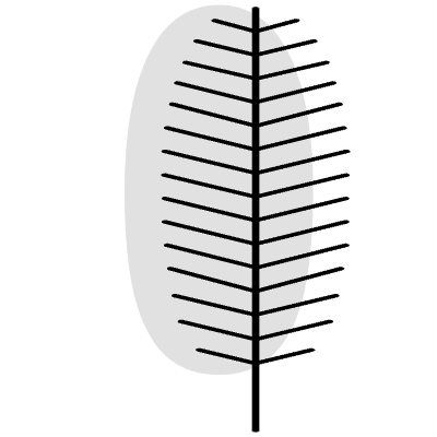 Leaves Pine Element from Geometrica (Combo) Set