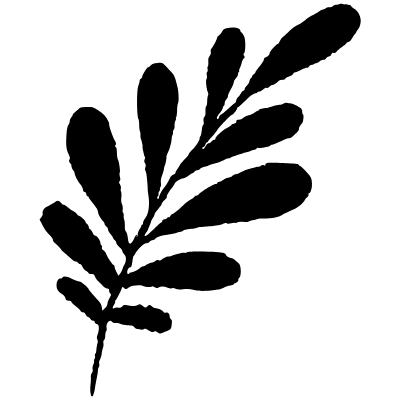 Nature Foliage Leaf 5 Element from Scribbles (Sketch Style) Set