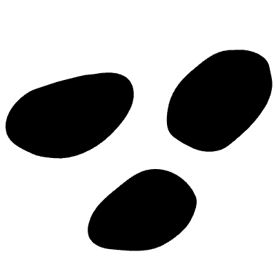 Shape Abstract Dot Rocks Element from Organica (Solid) Set