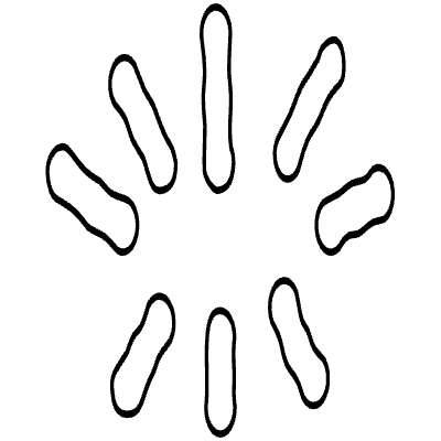 Shape Abstract Sparkle Dash Element from Organica (Duo) Set