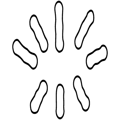 Shape Abstract Sparkle Dash Element from Organica (Line) Set