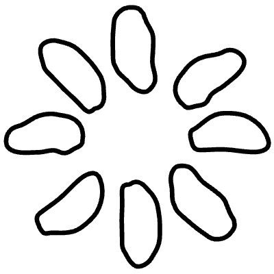 Shape Circle Loading Spin Propeller Element from Organica (Line) Set