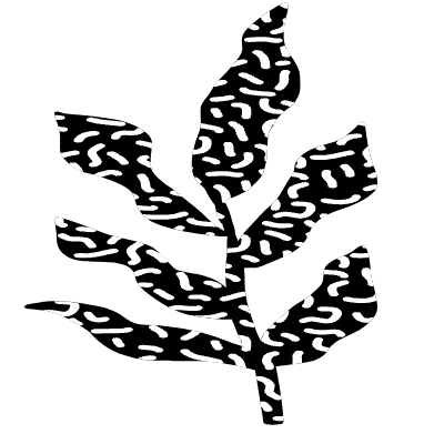 Shape Leaves Nature Dry Element from Organica (Texturized) Set