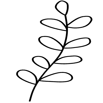 Shape Leaves Nature Vine Element from Organica (Duo) Set