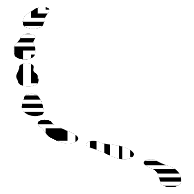 Shape Line Dash 1 Element from Organica (Texturized) Set