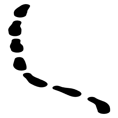 Shape Line Dash 1 Element from Organica (Solid) Set