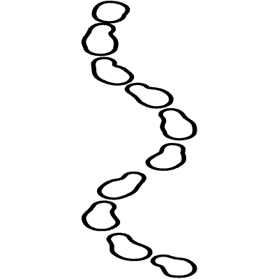 Shape Line Dash 2 Element from Organica (Line) Set