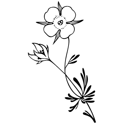 Vintage Chic Fleurons 01 Element from Fleurons Ornaments Set