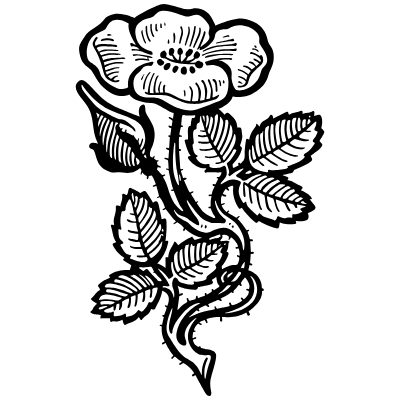 Vintage Chic Fleurons 100 Element from Fleurons Ornaments Set